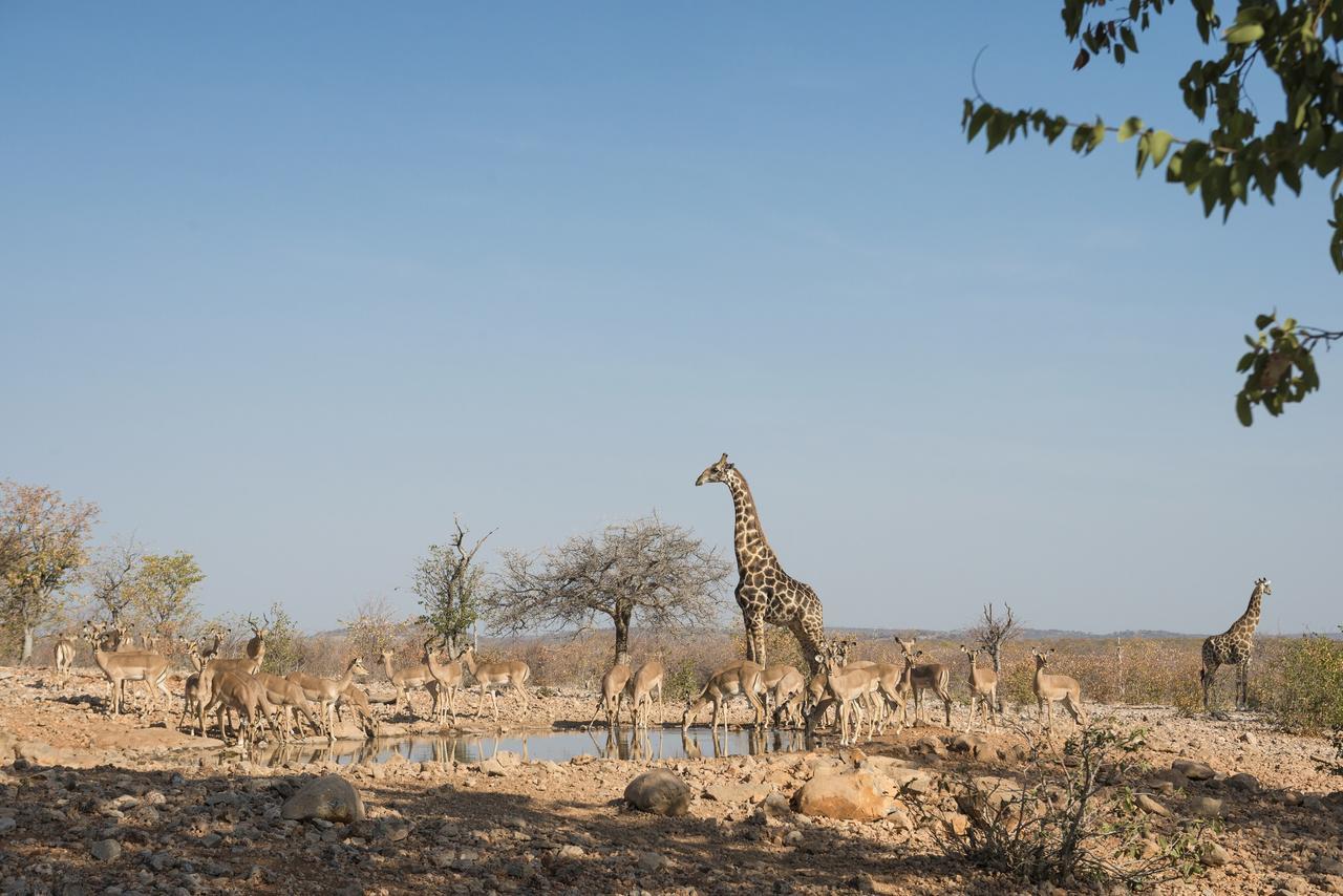 Ongava Lodge Okaukuejo Bagian luar foto